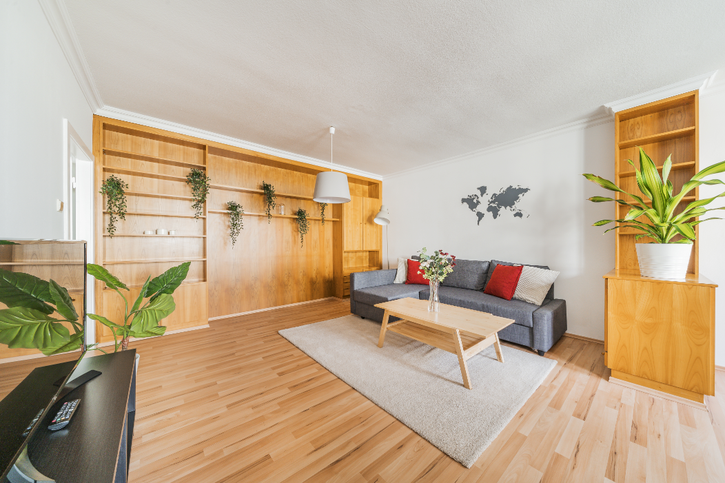 Gemütliches Wohnzimmer mit Schlafcouch und Smart TV