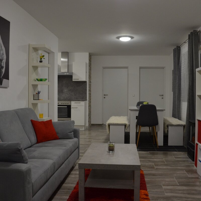 Bright living room with kitchenette: 3-room apartment, stylishly furnished, short-term rental Linz-Pöstlingberg