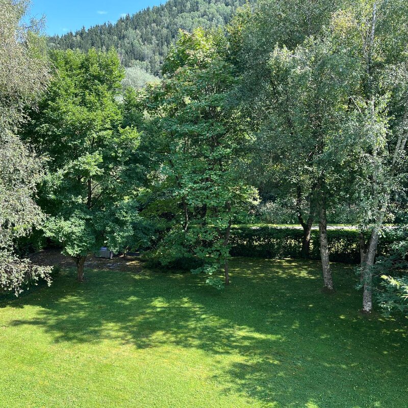 Blick vom Wohnzimmer in den Garten