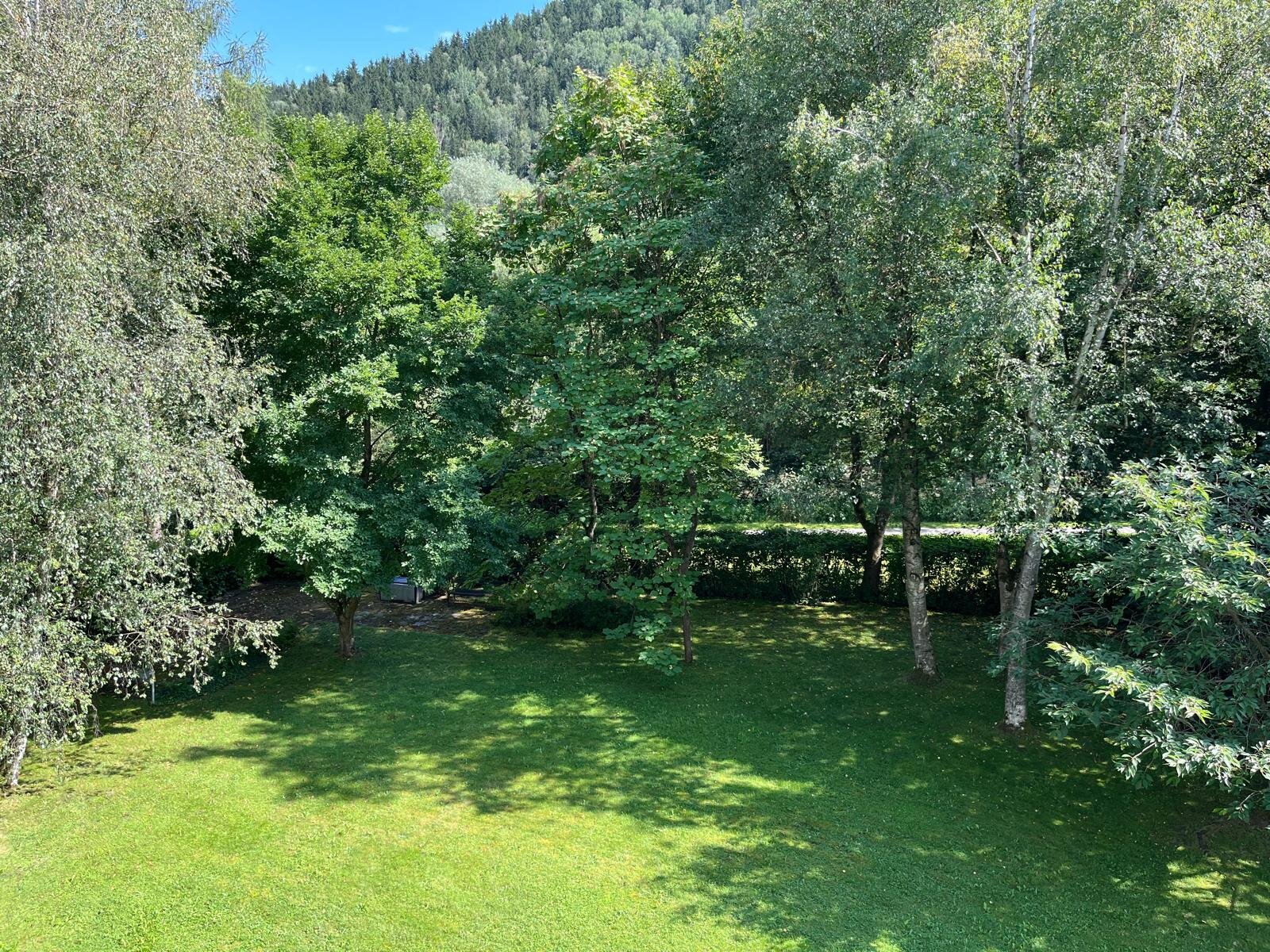 Blick vom Wohnzimmer in den Garten