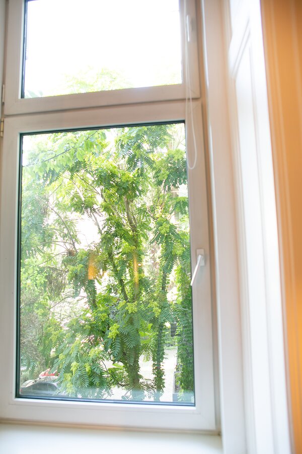 Blick in den grünen Innenhof