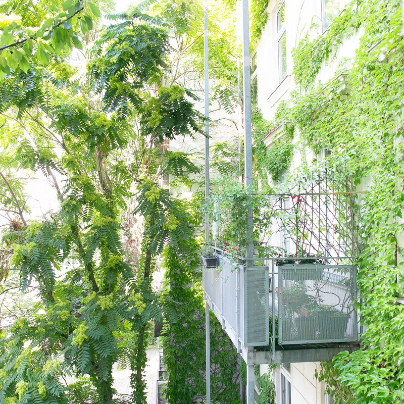 Blick in den grünen Innenhof