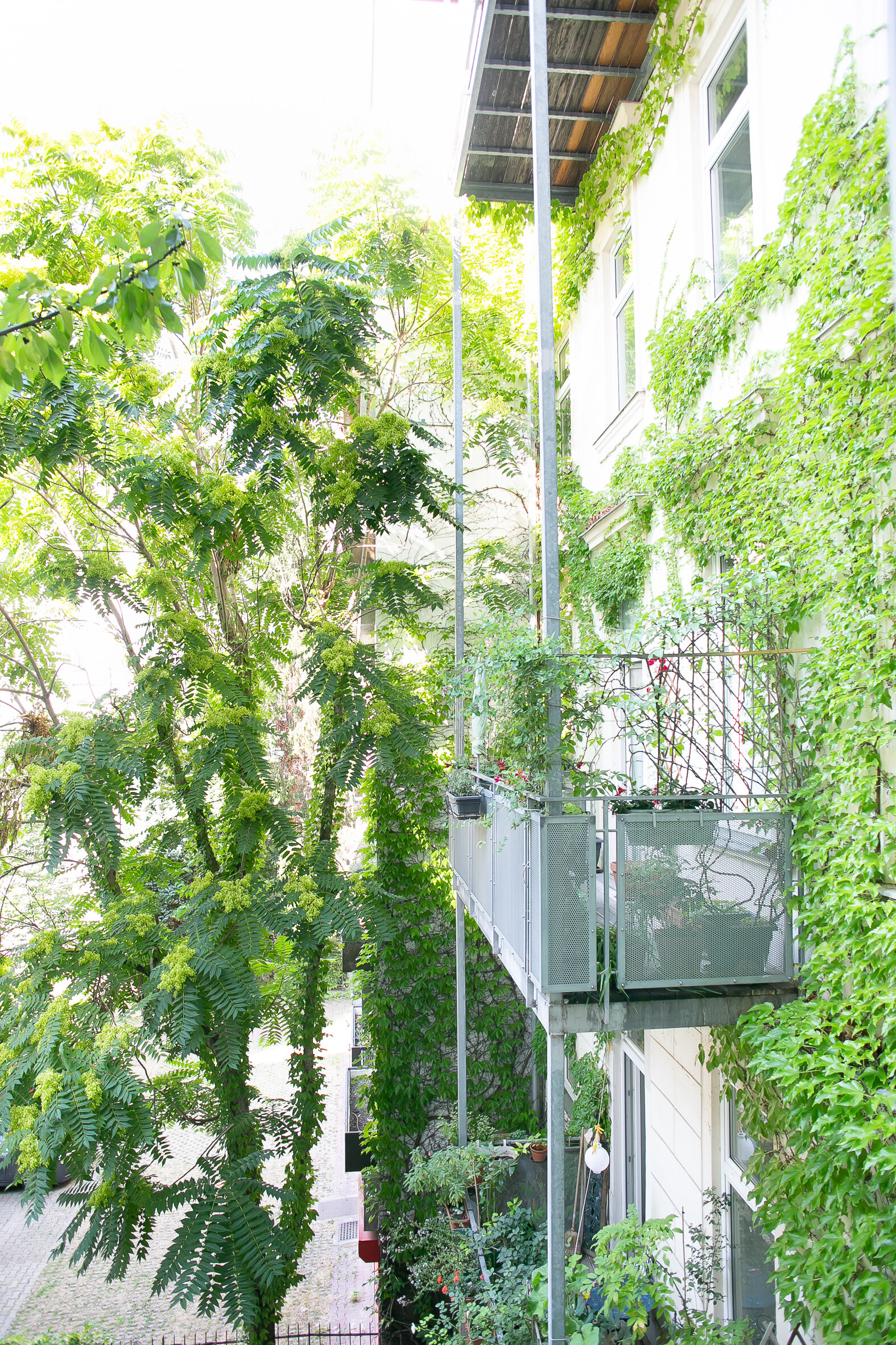 Blick in den grünen Innenhof