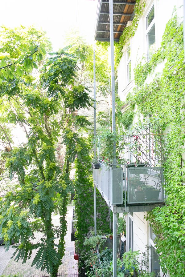 Blick in den grünen Innenhof