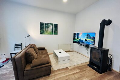 Helles Wohnzimmer mit Kaminofen & TV – 2-Zimmer Wohnung zur Kurzzeitmiete, Wohnen auf Zeit 1 bis 6 Monate, Wien