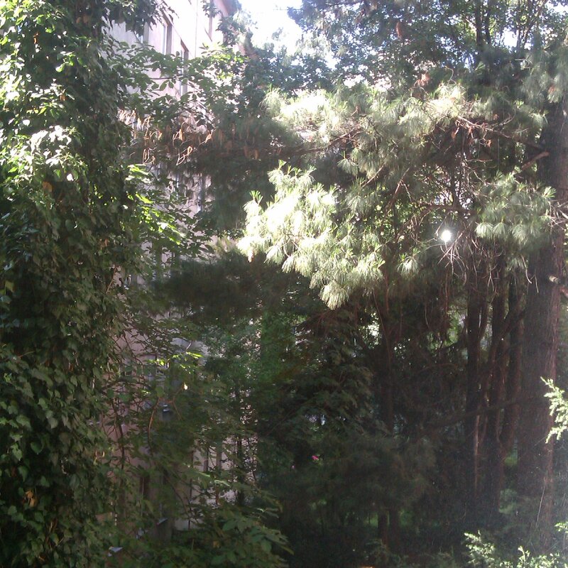 Blick aus dem Fenster