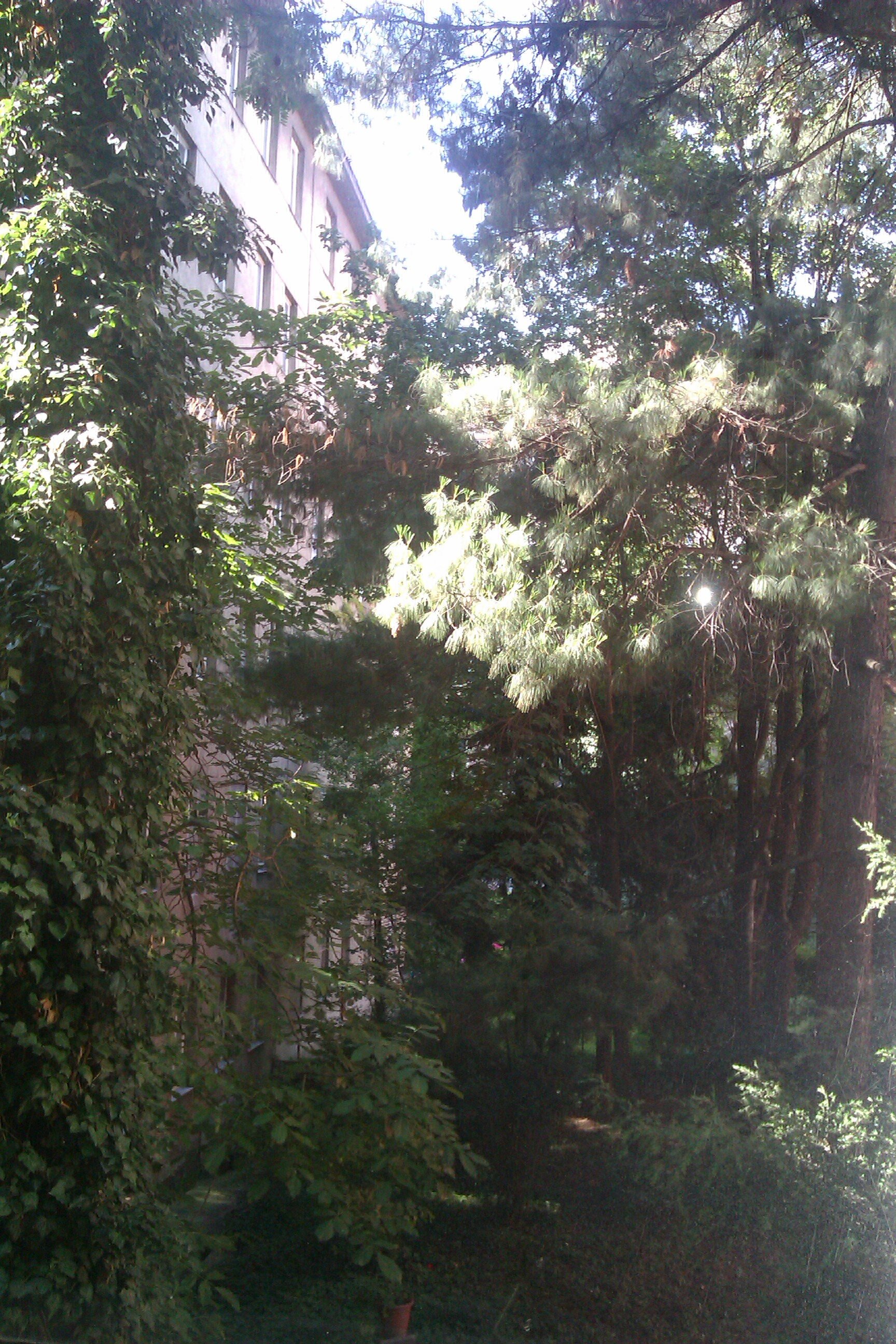 Blick aus dem Fenster