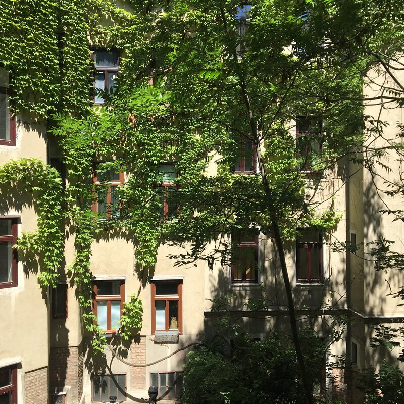 Ausblick in den Hof
