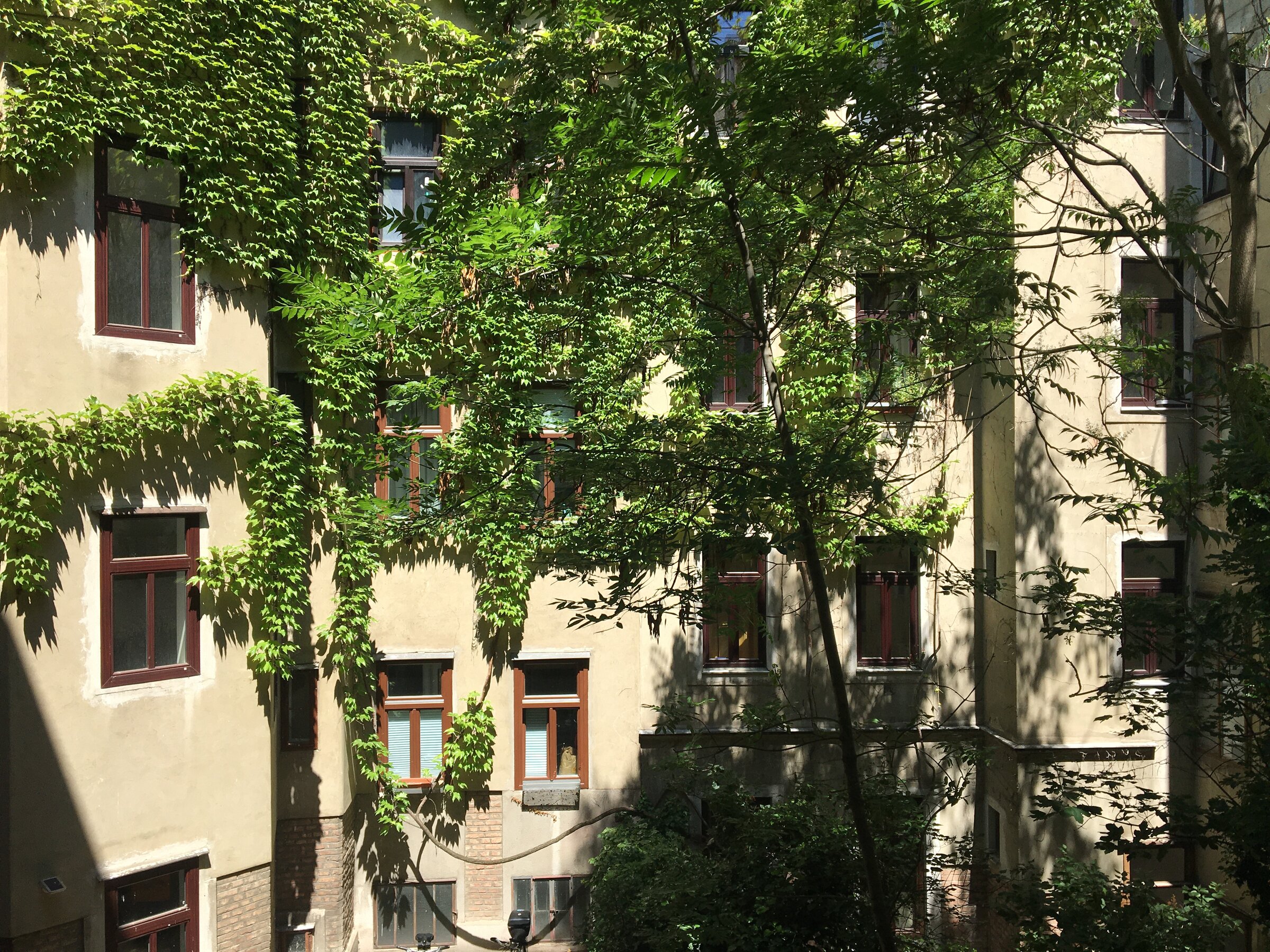 Ausblick in den Hof