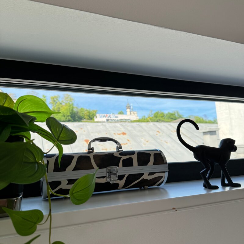 Ausblick Mönchsberg