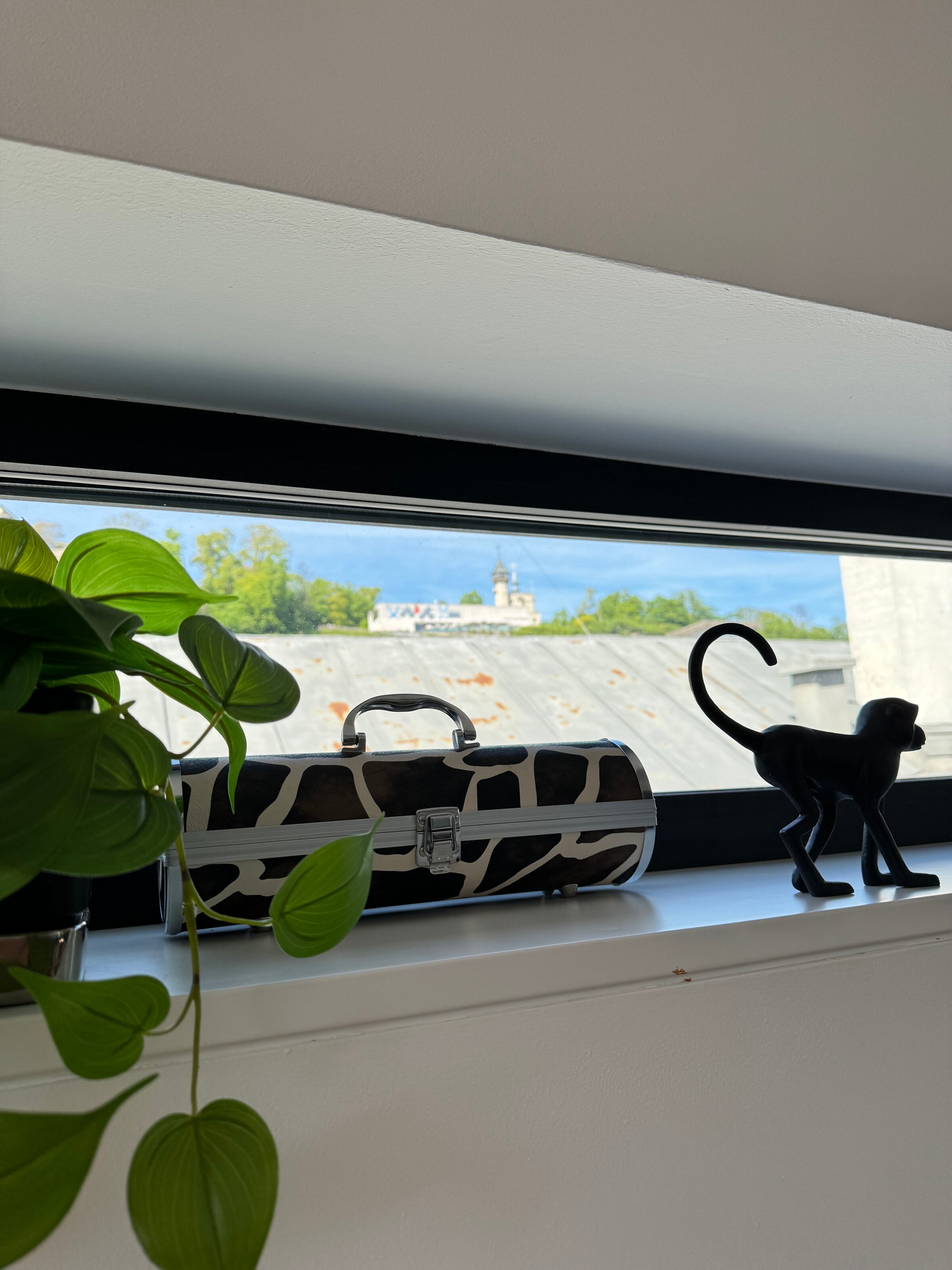 Ausblick Mönchsberg