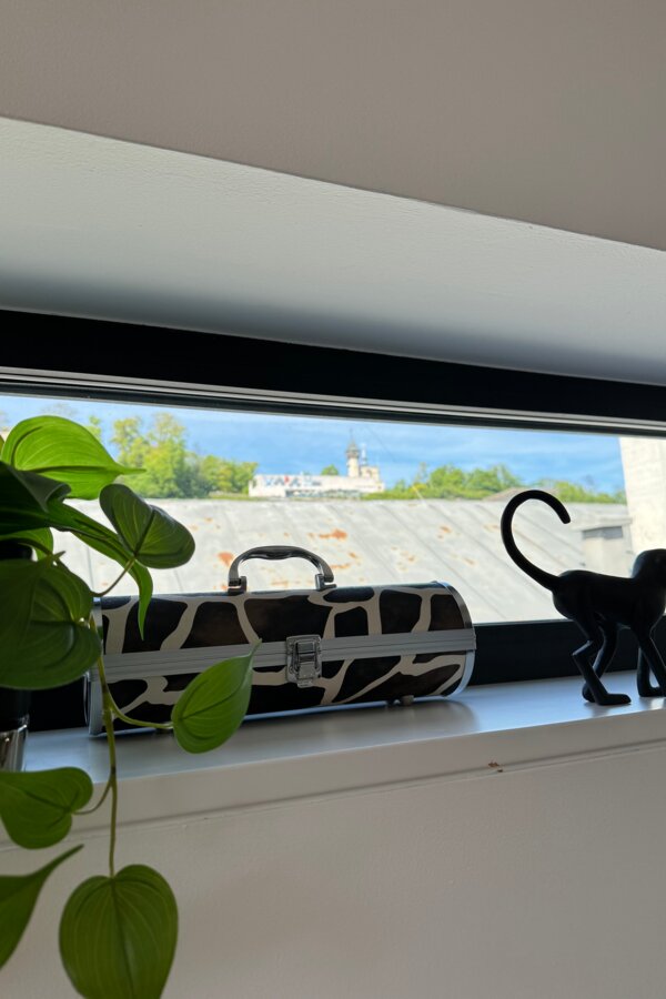 Ausblick Mönchsberg