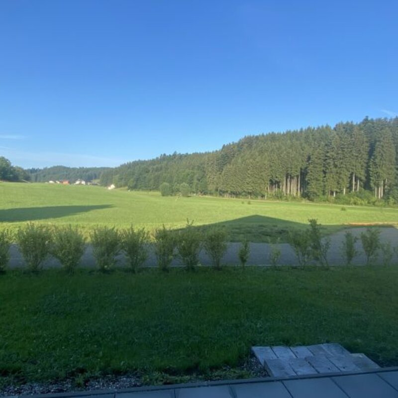 Aussicht von der Terrasse