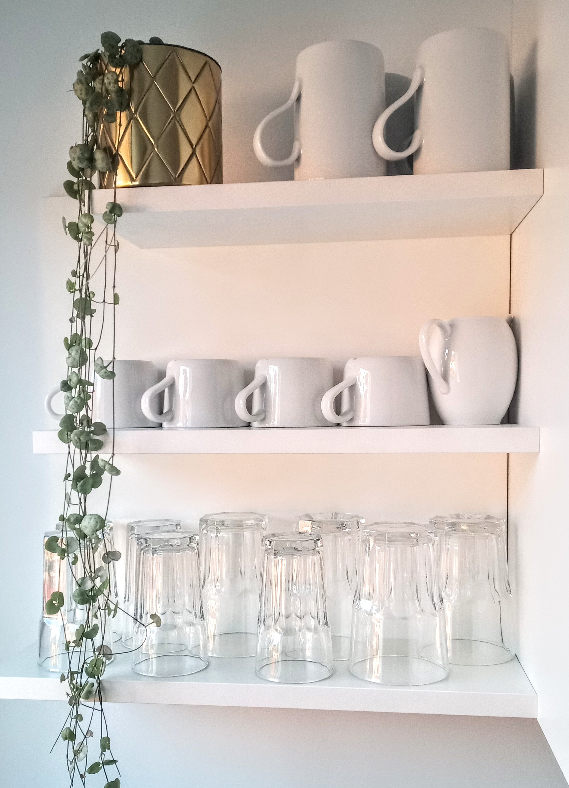 Kitchen detail