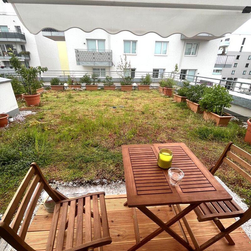 Dachterrasse, begrünt | © AG