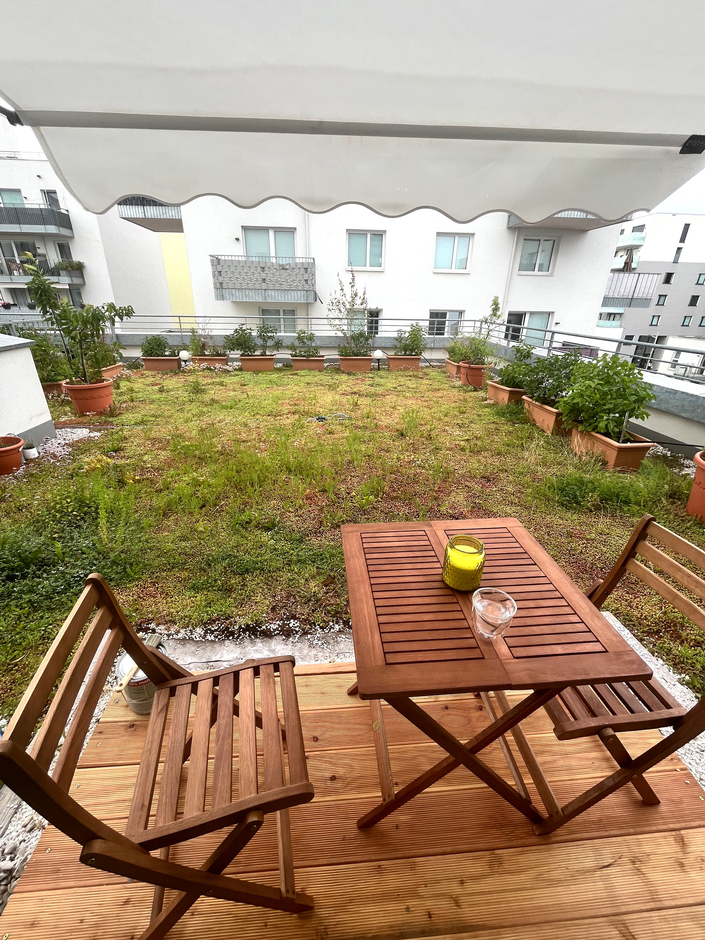 Dachterrasse, begrünt | © AG