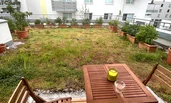 Dachterrasse, begrünt | © AG