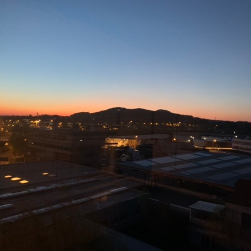 Blick aus dem Küchenfenster