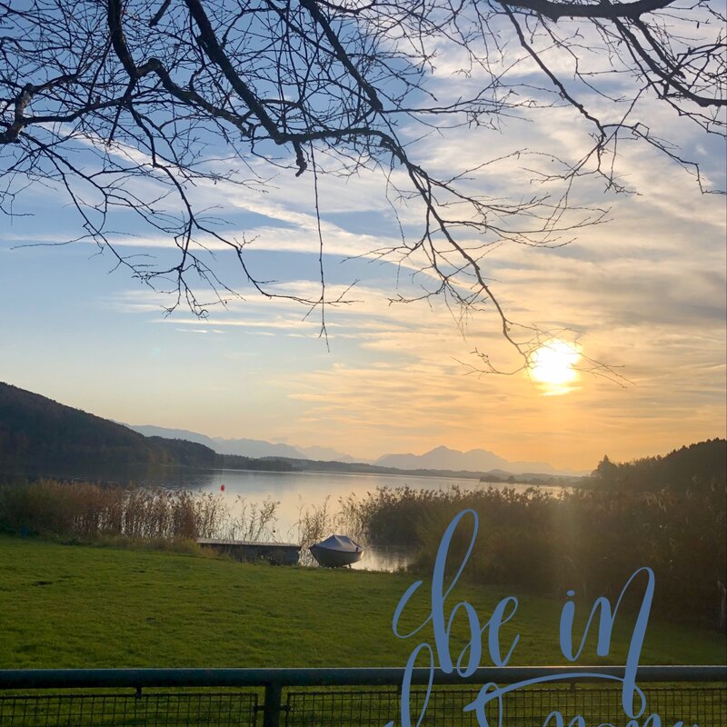 Blick auf den Wallersee  | © Prisca Engelkes