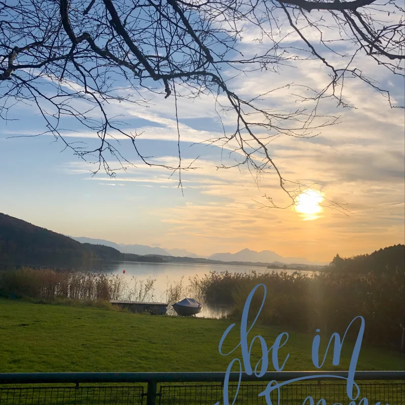 Blick auf den Wallersee  | © Prisca Engelkes