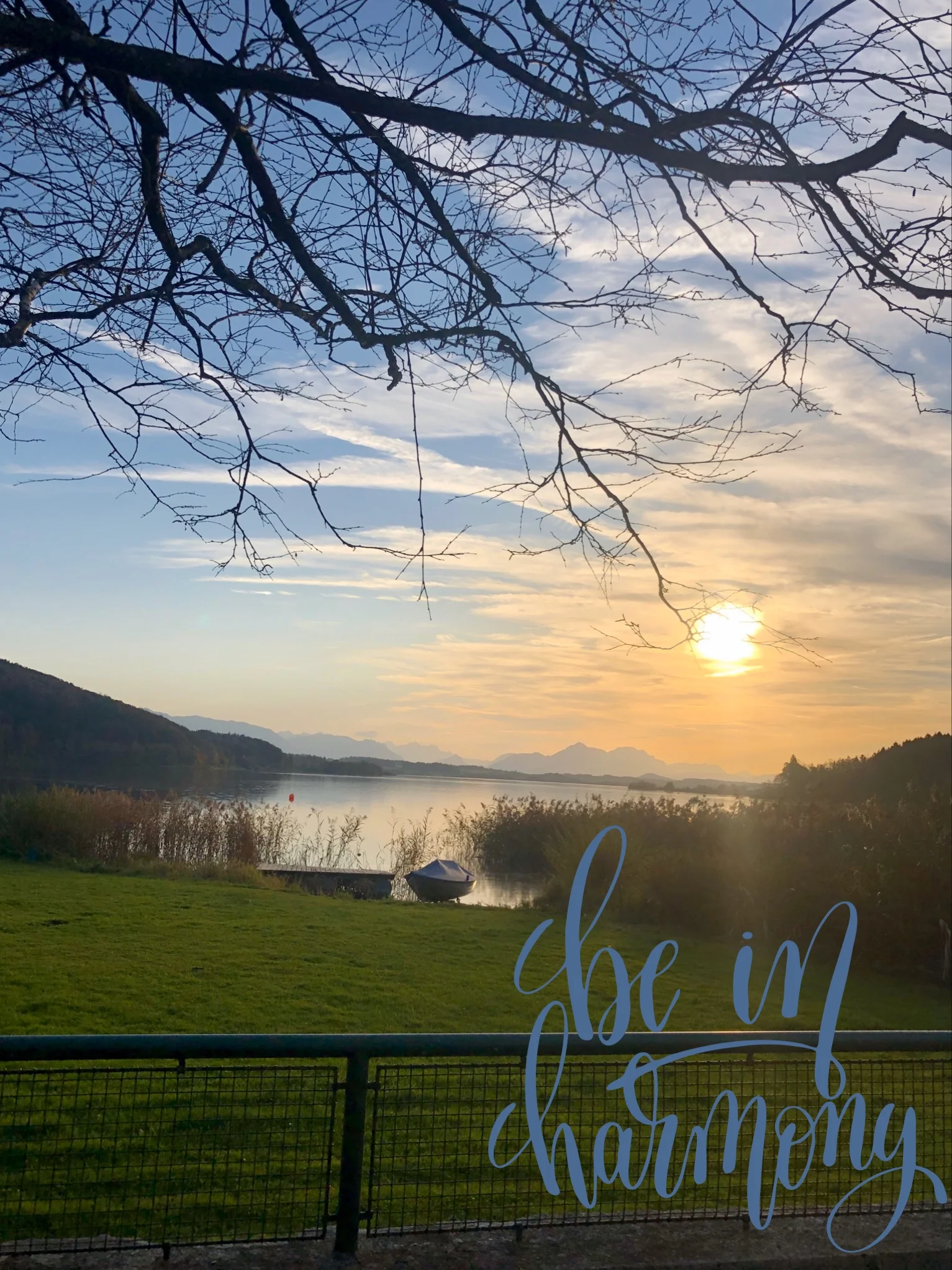 Blick auf den Wallersee  | © Prisca Engelkes