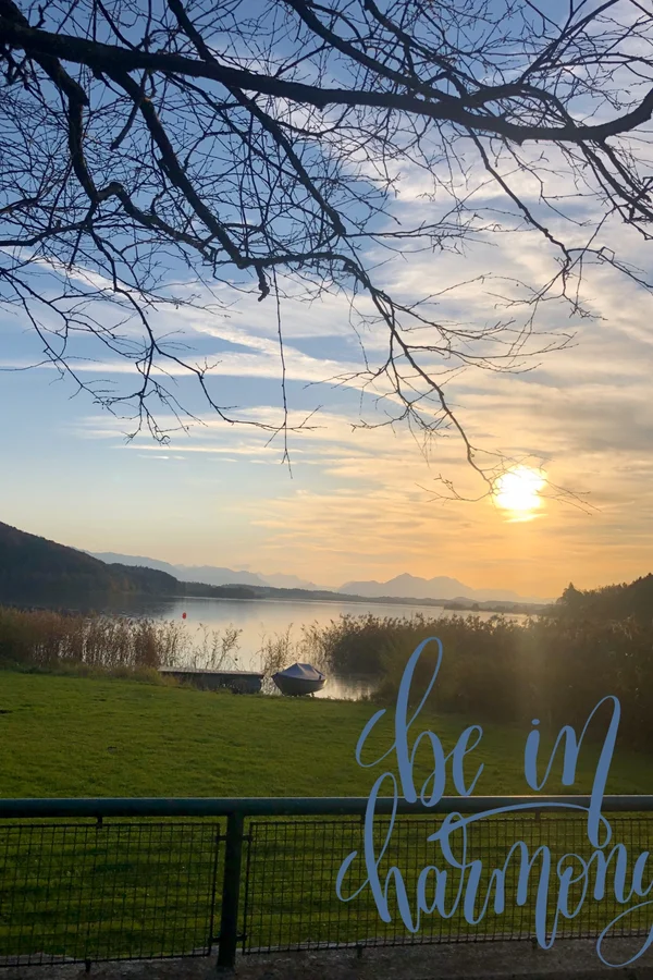 Blick auf den Wallersee  | © Prisca Engelkes