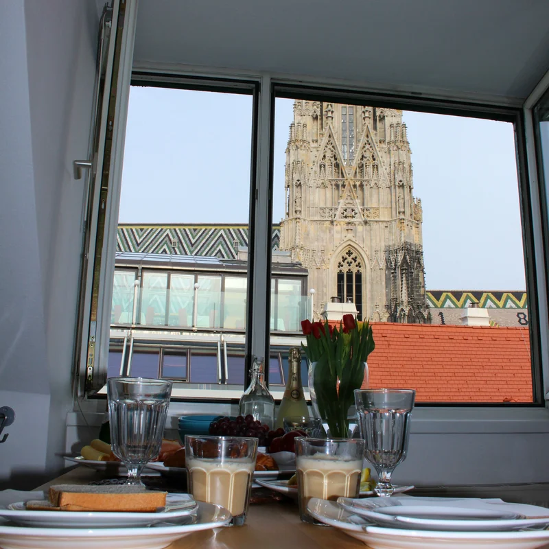 Blick auf Stephansdom