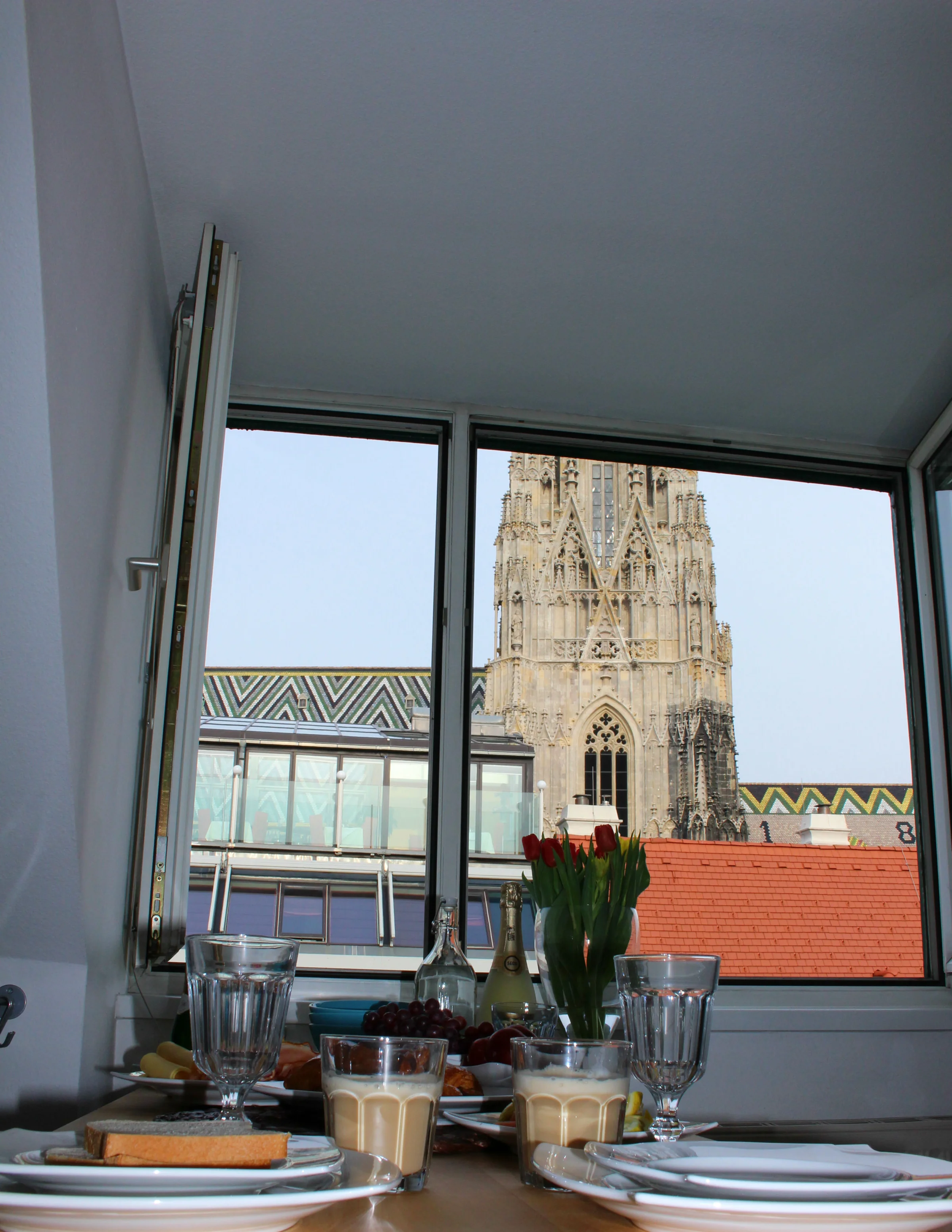 Blick auf Stephansdom