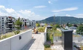 Dachgärten - "Flying Garden" 
