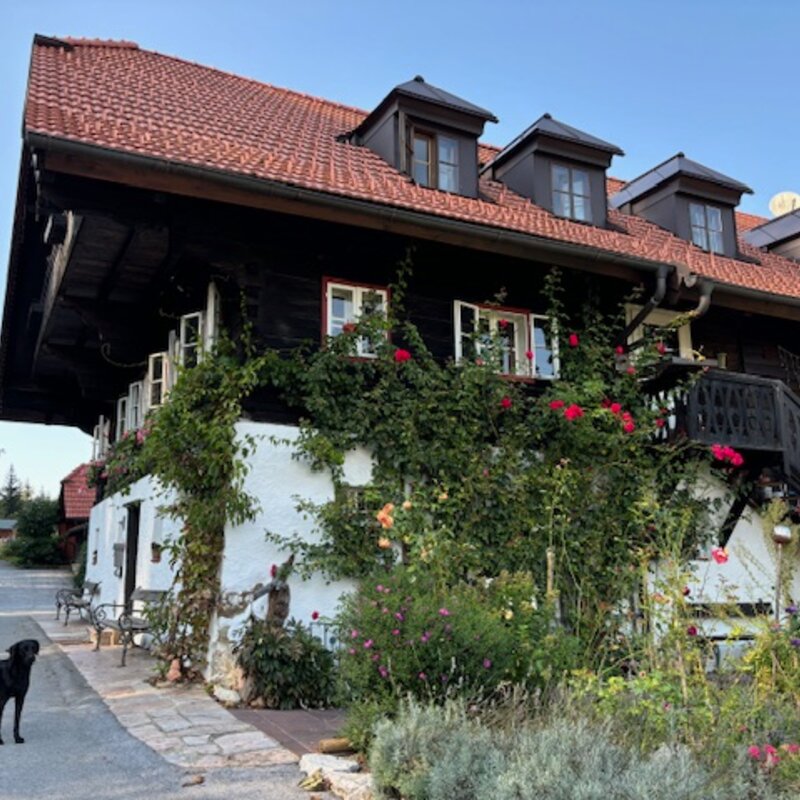 Gesamtansicht, Wohnung im Dachgeschoss