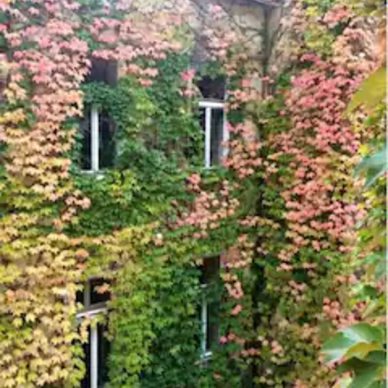 Unser Innenhof im Herbst