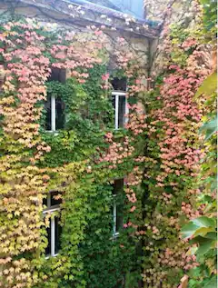 Unser Innenhof im Herbst