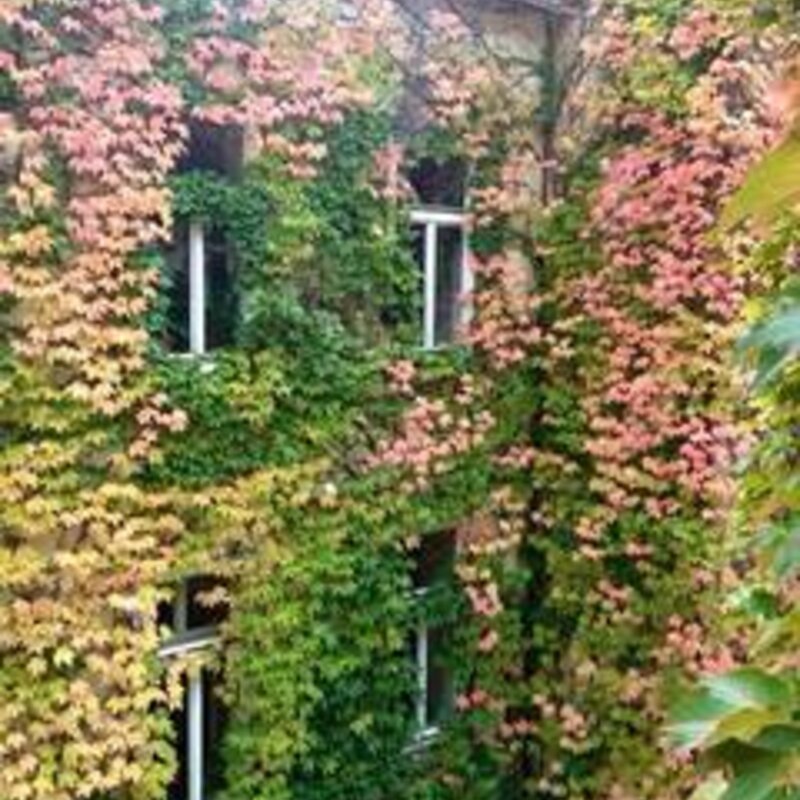 Unser Innenhof im Herbst