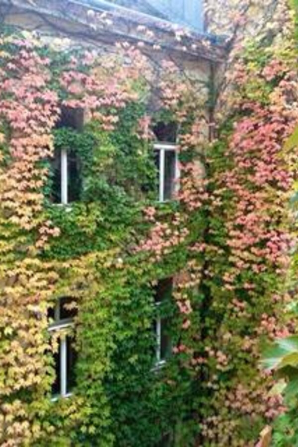 Unser Innenhof im Herbst