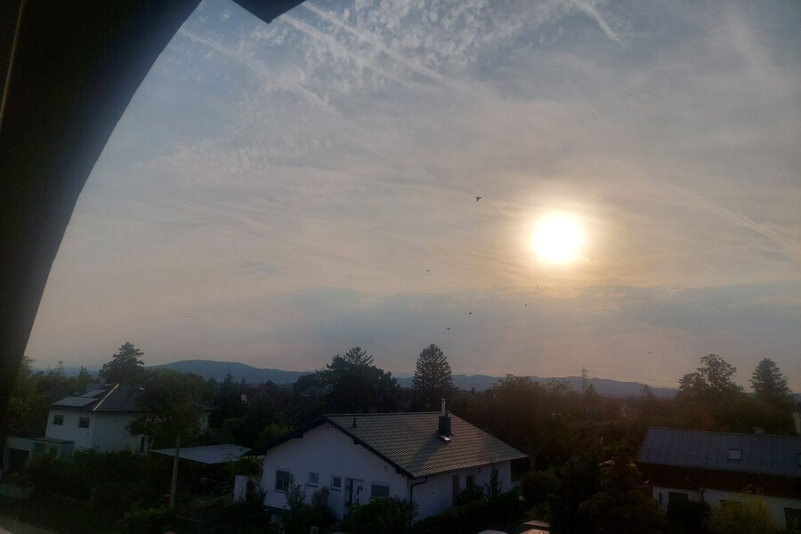 Rooftop & nature panorama: 1-room apartment for short-term rental in Leopoldsdorf – temporary housing for 1 to 6 months.