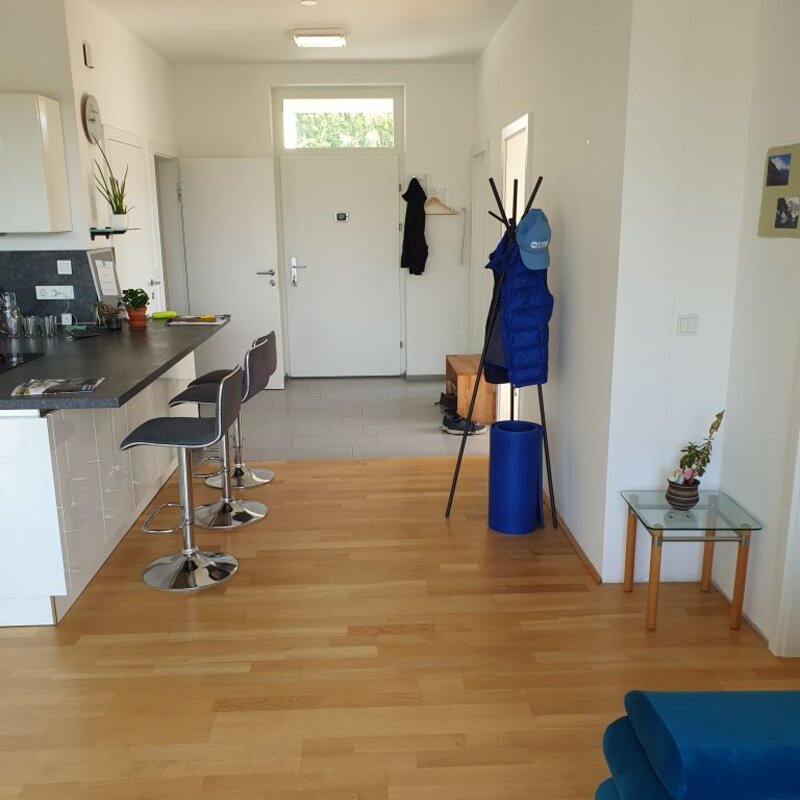 Küche und Eingangsbereich