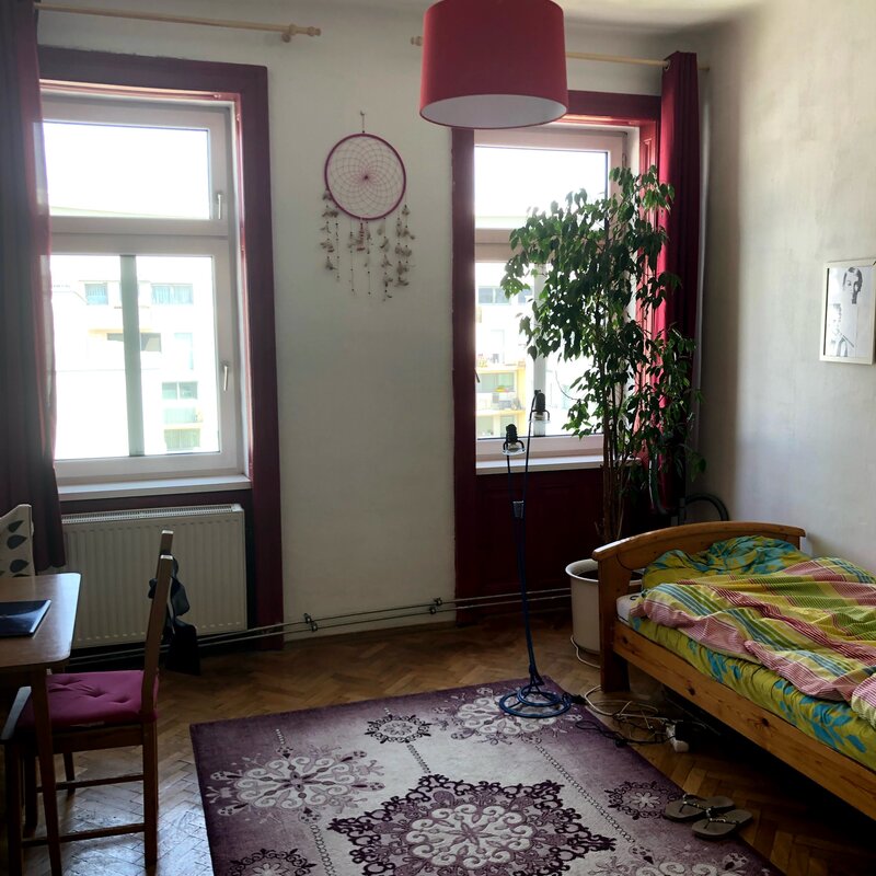 Bright room with parquet & plants – 1-room apartment, short-term rental, temporary housing for 1 to 6 months in Vienna
