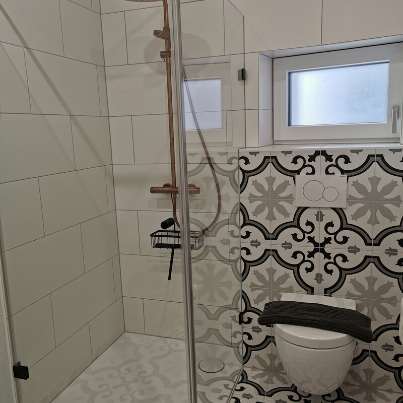 Glasdusche und WC