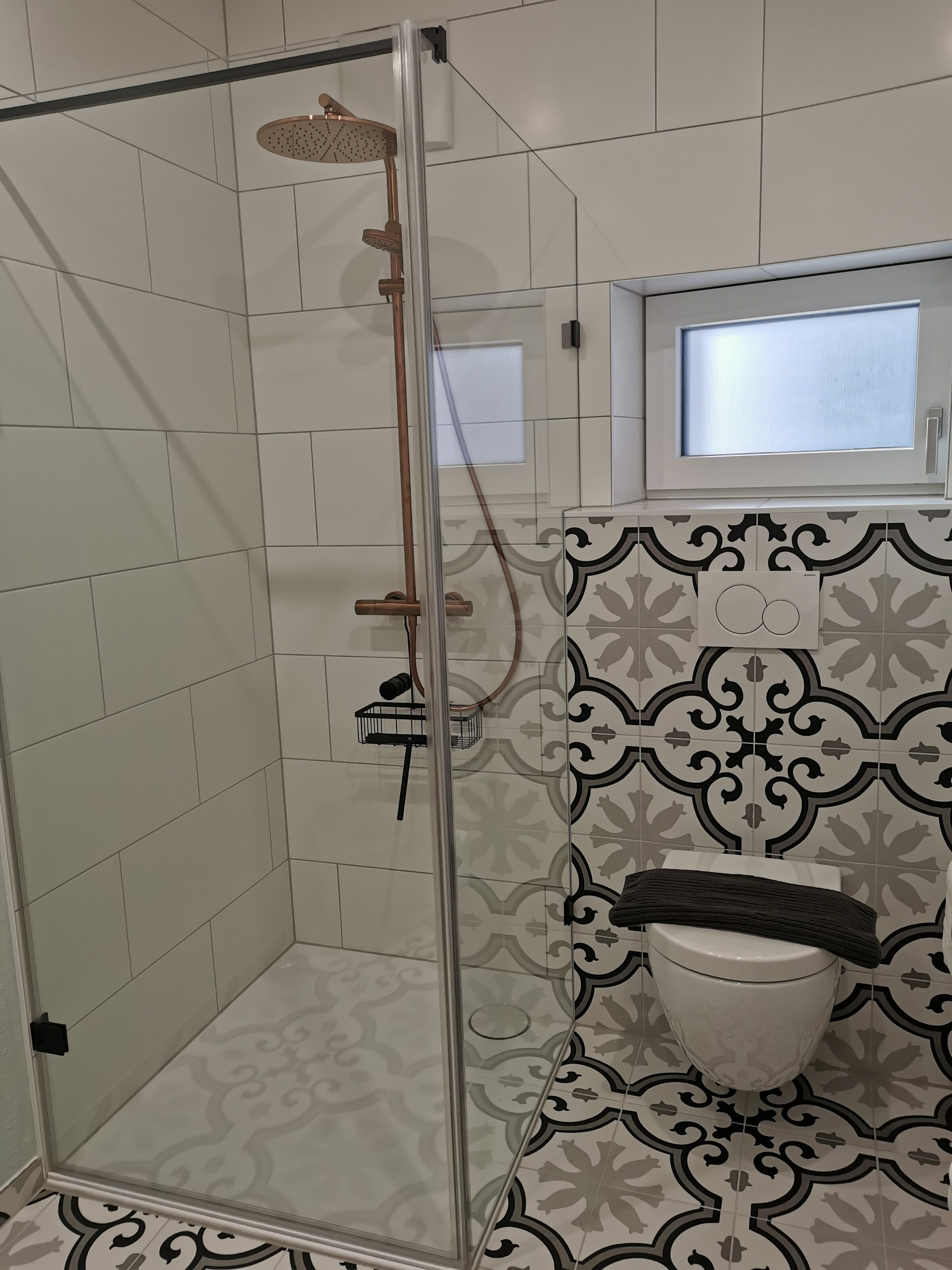 Glasdusche und WC