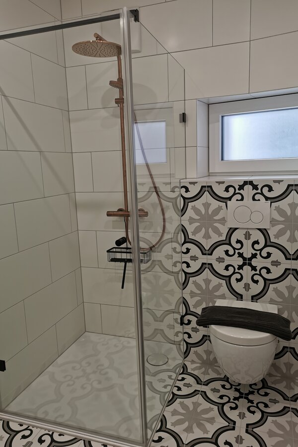 Glasdusche und WC