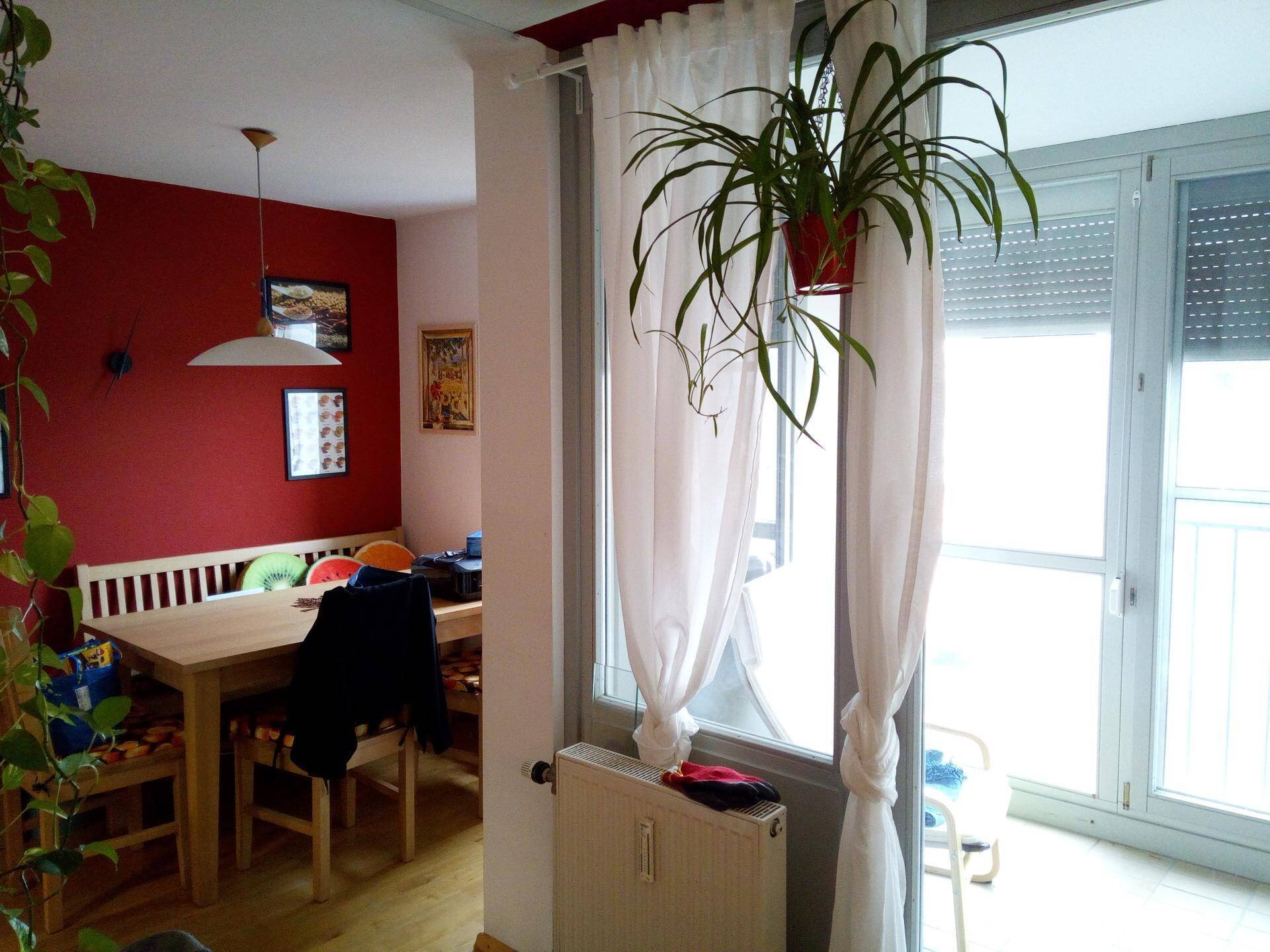 Mit Tisch und 1 Bank 