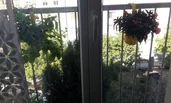 Französischer Balkon
