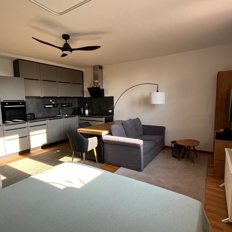 Small Apartment in the middle of Graz