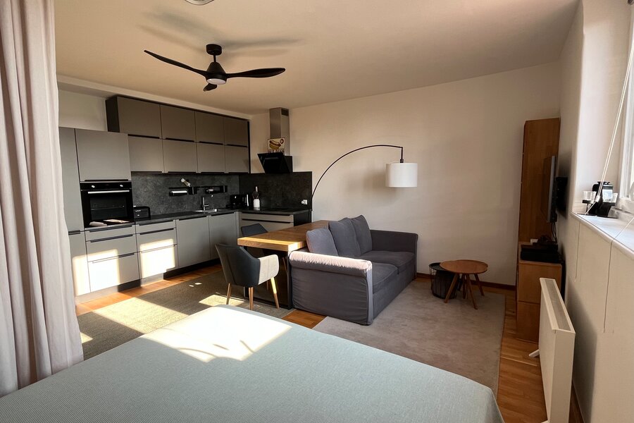 Small Apartment in the middle of Graz