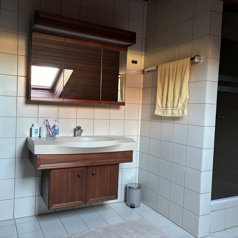 Waschbecken und Dusche