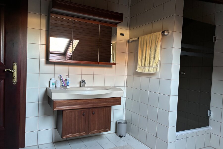 Waschbecken und Dusche