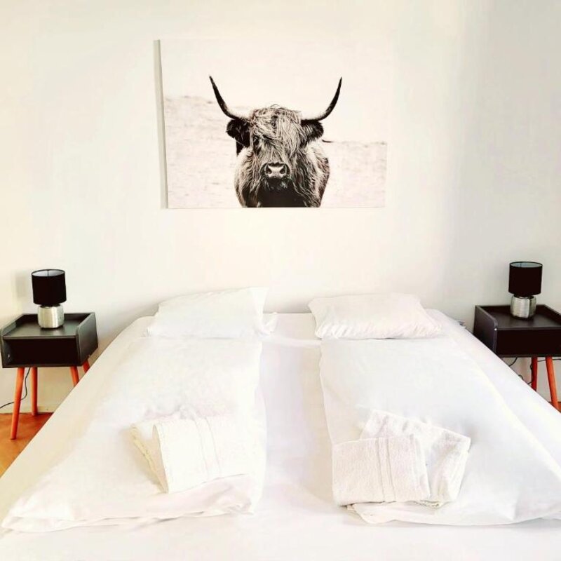 Bright bedroom with double bed – 1-room apartment for short-term rental & temporary housing for 1 to 6 months in Vienna