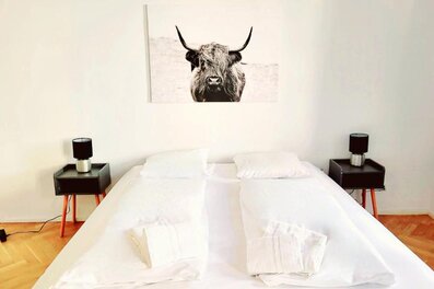 Bright bedroom with double bed – 1-room apartment for short-term rental & temporary housing for 1 to 6 months in Vienna