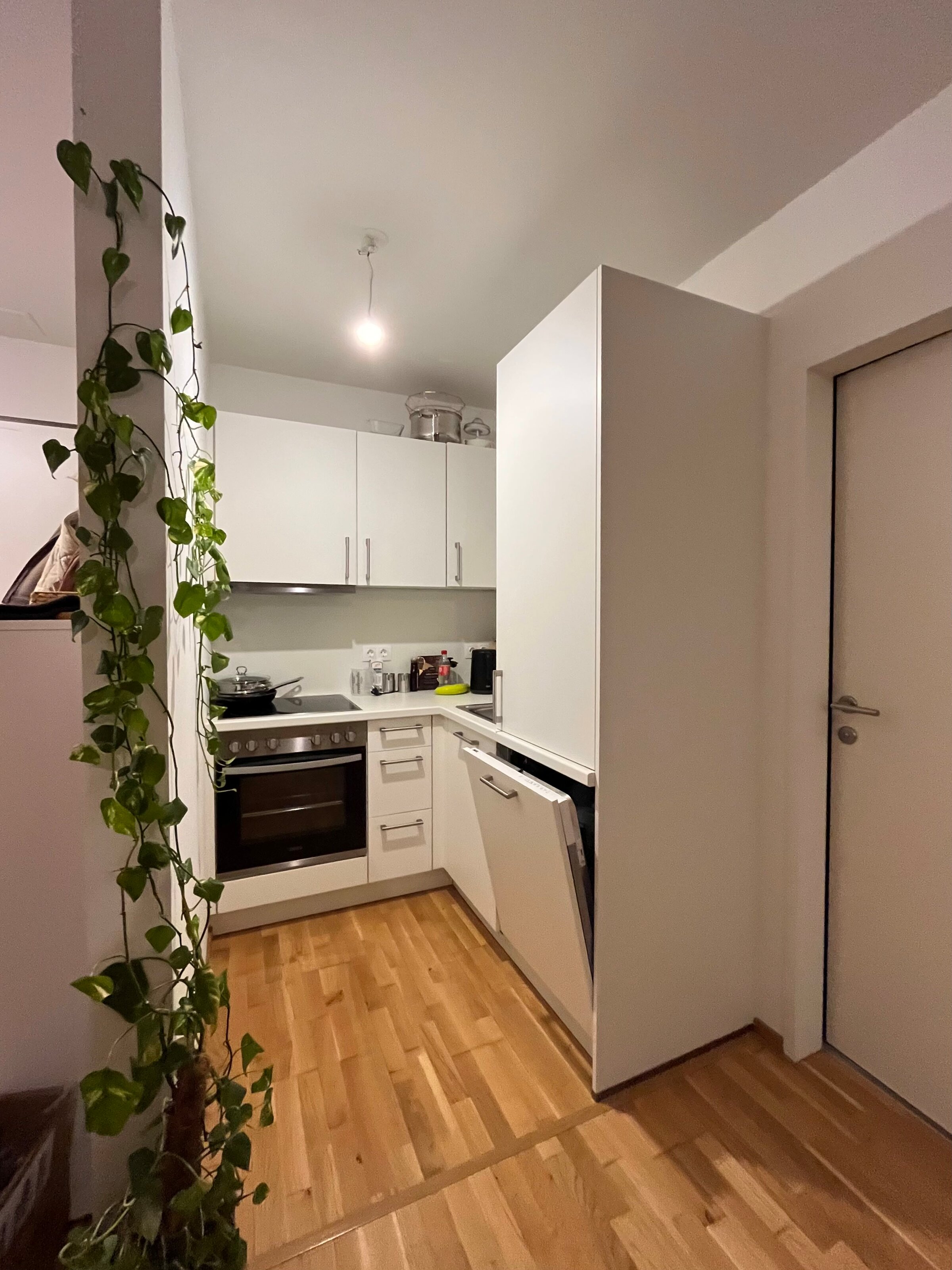 Küche mit Backofen, Herd, Geschirrspüler, Toaster, Wasserkocher, Geschirr und Kochutensilien