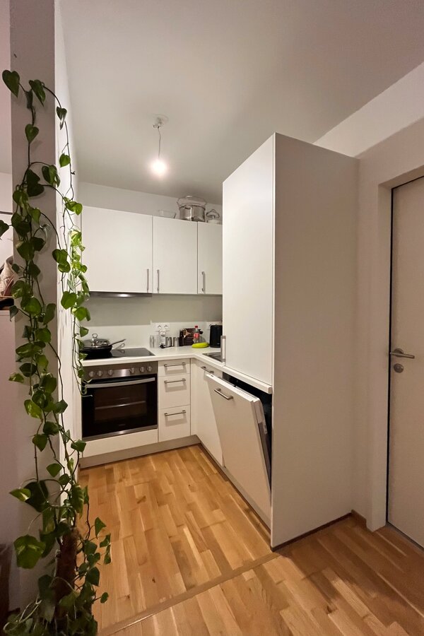 Küche mit Backofen, Herd, Geschirrspüler, Toaster, Wasserkocher, Geschirr und Kochutensilien